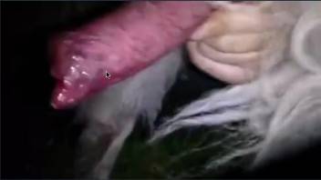 Attractive dude displays his deep throating talents on a well-endowed monster