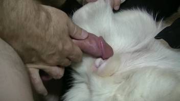 Aroused man thrusts his erection into that snug opening