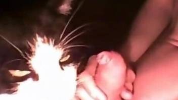 Dude cums on his cat's face after a nice rimjob
