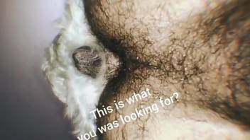 Hairy boipussy getting fucked by a dog that wants to knot