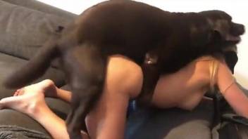 Moaning hottie in a blindfold gets banged by a dog