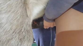 Hottie leans forward to receive a massive stallion dick deep inside
