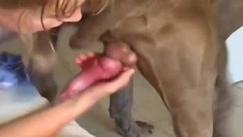 Awesome porno movie with a pale-skinned dog cock slut