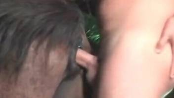 Seductive man uses his dick to punish a mare pussy