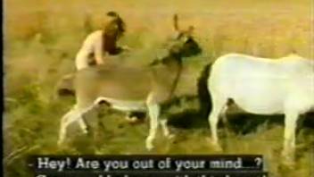 Teenagers headed to the countryside and screwed every beast they encountered.