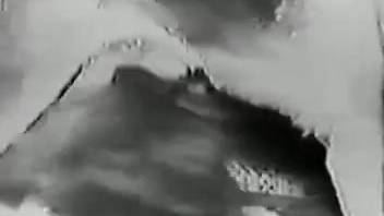 Black and white classic adult film featuring a seductive blowjob enthusiast