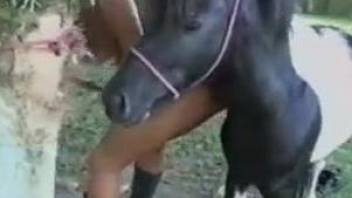 Aroused Ebony babe approached pony and started to suck his cock