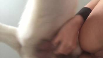 Blonde with a shaved vagina lets this dog ravish her thoroughly