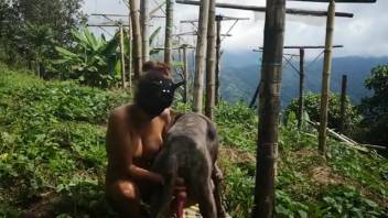 Veiled bombshell eagerly swallowing a canine's impressive penis in the open air