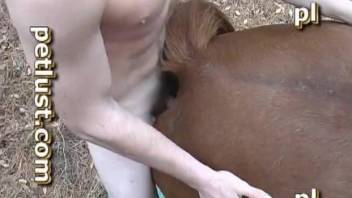Man tapes himself during hard sex with his horse