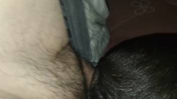 Chubby guy employs his dick to satisfy a creature's vagina