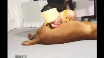 Slender dark-haired woman wearing black nylons enjoys pleasurable intercourse with her pet dog