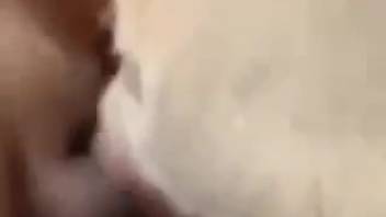 Guy pounding the beast's narrow hole