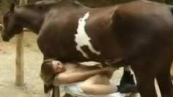 Lovely teen lies under stallion and plugs pussy with his cock