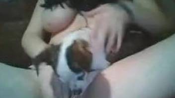Cam girl shows off when being licked on pussy by her dog