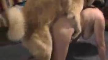 Anus of an attractive bestiality lover endures pain during anal sex