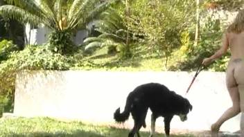 Fair-haired woman delights in open-air bestiality with a canine