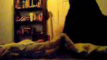 Curvy-bottomed spouse positions herself upright for her dog to penetrate her